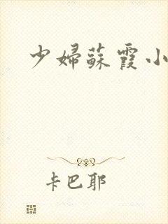 少妇苏霞小说封面