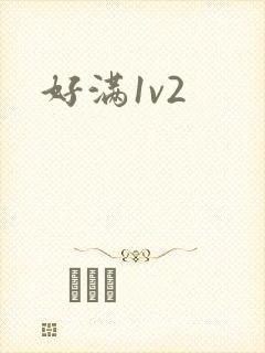 好满1v2