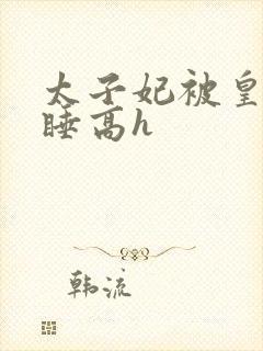 太子妃被皇上强睡高h