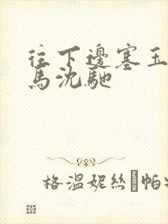 往下边塞玉器骑马沈驰封面