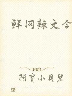 鲜网辣文合集封面