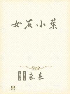 女友小叶封面