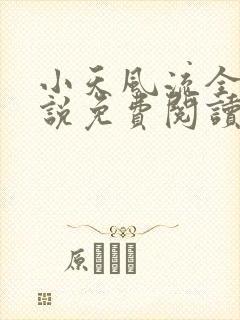 小天风流全集小说免费阅读封面