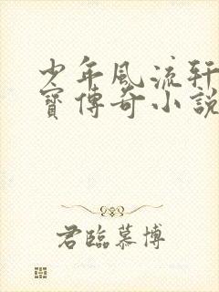 少年风流轩辕大宝传奇小说