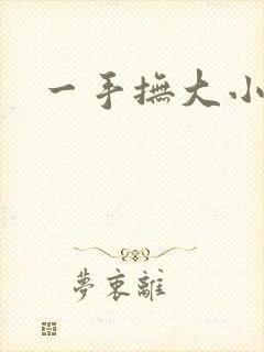 一手抚大小说