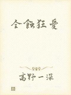 全蚀狂爱封面