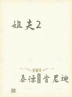 姐夫2封面