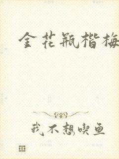 金花瓶楷梅花2封面