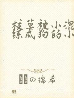 校草被小混混训练成狗的小说