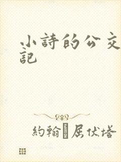 小诗的公交车日记
