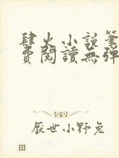 肆火小说笔趣免费阅读无弹窗