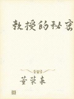 教授的秘密封面