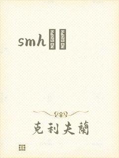 smhС˵封面