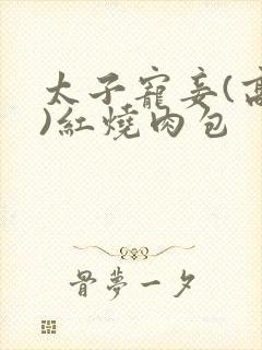 太子宠妾(高肉)红烧肉包