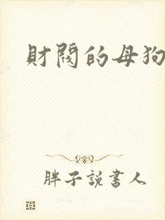 财阀的母狗们