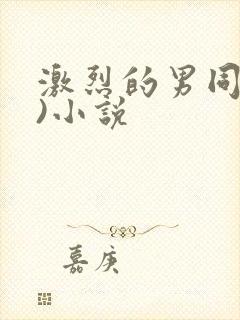 激烈的男同(h)小说