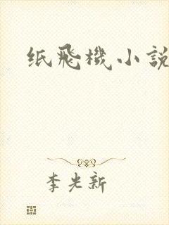 纸飞机小说