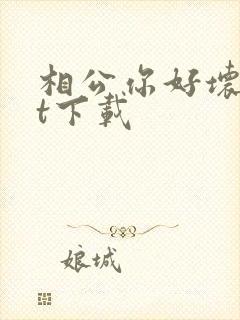 相公你好坏txt下载