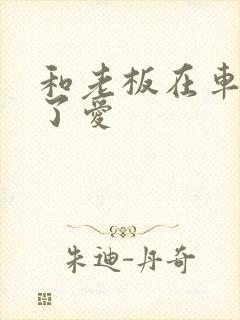 和老板在车里做了爱