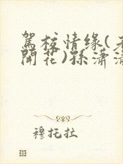 驾校情缘(老树开花)孙潇潇笔趣阁