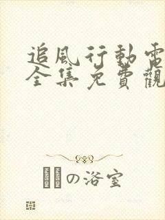 追风行动电视剧全集免费观看