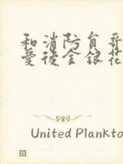 和消防员哥哥恋爱后金银花趣笔阁封面