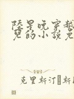 陆星晚穿越成婴儿的小说免费阅读全文