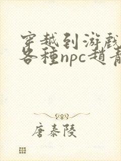 穿越到游戏里和各种npc赵青蔓封面