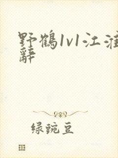 野鹤1v1江淮辞封面