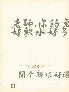 老师,你的兔子好软水好多