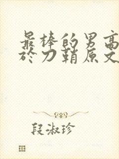 最棒的男高中生于刀鞘原文阅读