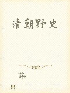清朝野史封面