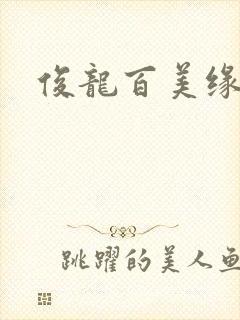 俊龙百美缘小说