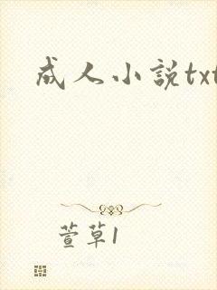 成人小说txt