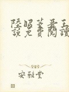 陆昭菱晋王的小说免费阅读