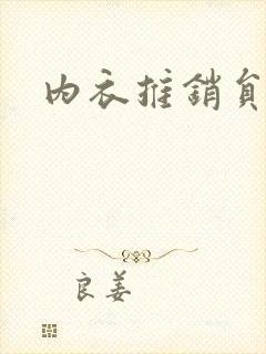 内衣推销员封面