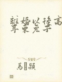 离婚以后高干 耳东兔子