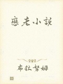 恋老小说封面