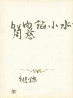 by肉馅小水饺周慈