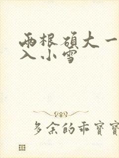 两根硕大一起挤入小雪