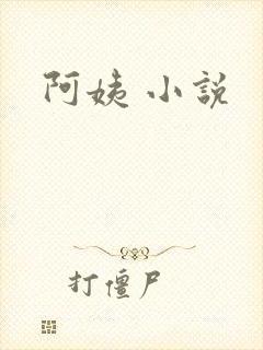 阿姨 小说