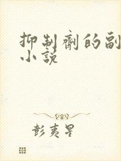 抑制剂的副作用小说封面