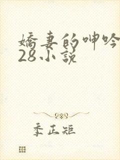 娇妻的呻吟1—28小说