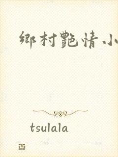 乡村艳情小说封面