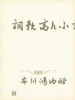 调教高h小说封面