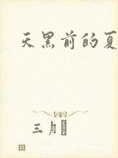 天黑前的夏天