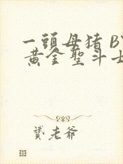 一头母猪 BY 黄金圣斗士