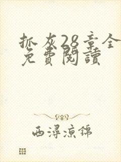 抓灰28章全部免费阅读