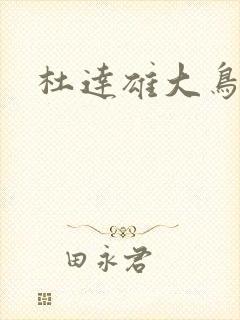 杜达雄大鸟封面