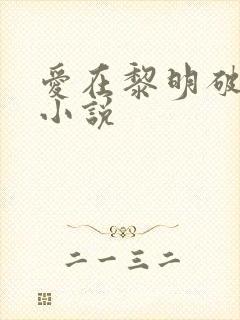 爱在黎明破晓前小说
